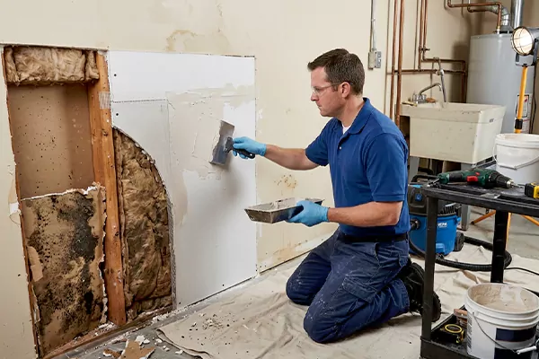 Mold and Drywall Repair Dana Point