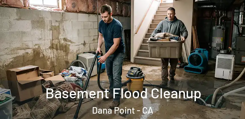 Basement Flood Cleanup Dana Point - CA