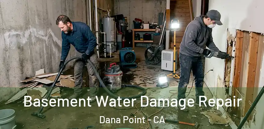 Basement Water Damage Repair Dana Point - CA