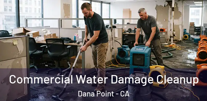 Commercial Water Damage Cleanup Dana Point - CA