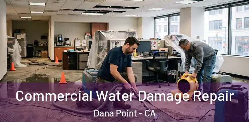 Commercial Water Damage Repair Dana Point - CA