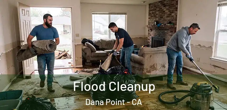  Flood Cleanup Dana Point - CA