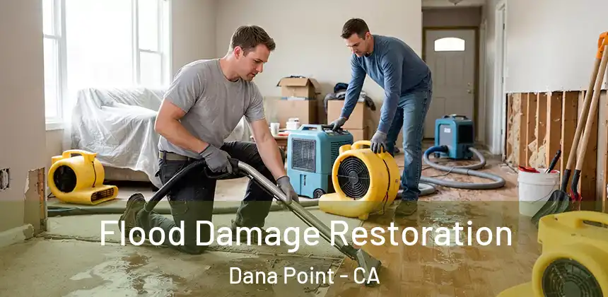  Flood Damage Restoration Dana Point - CA