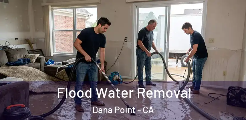  Flood Water Removal Dana Point - CA