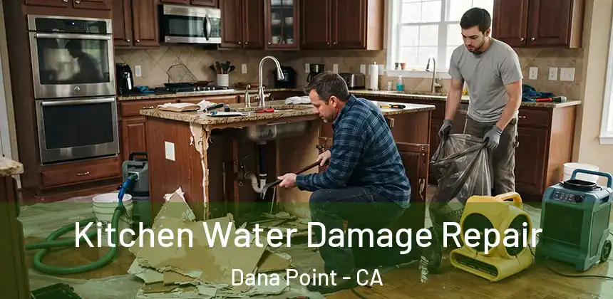 Kitchen Water Damage Repair Dana Point - CA