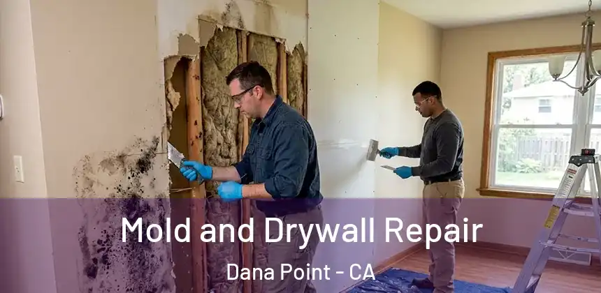 Mold and Drywall Repair Dana Point - CA
