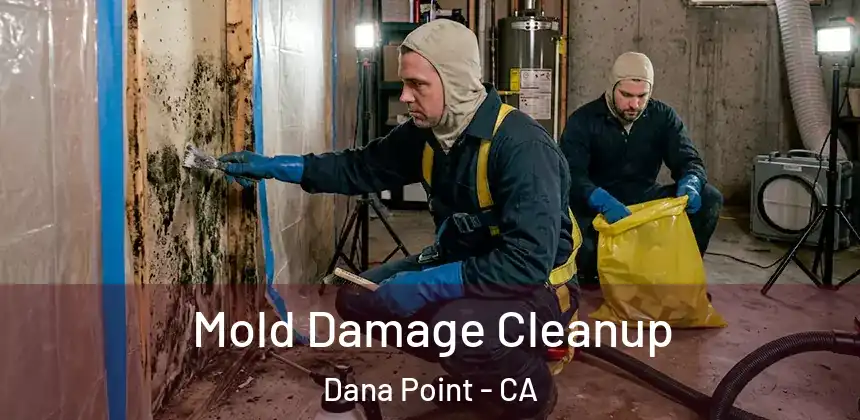  Mold Damage Cleanup Dana Point - CA