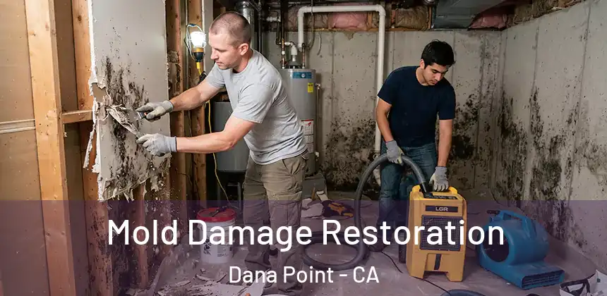  Mold Damage Restoration Dana Point - CA