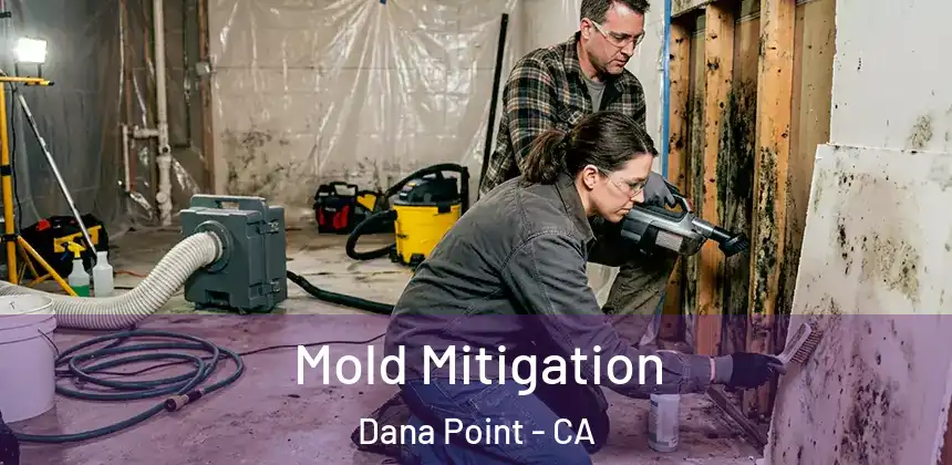 Mold Mitigation Dana Point - CA