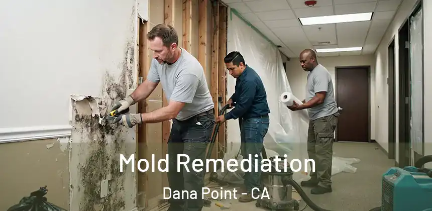  Mold Remediation Dana Point - CA