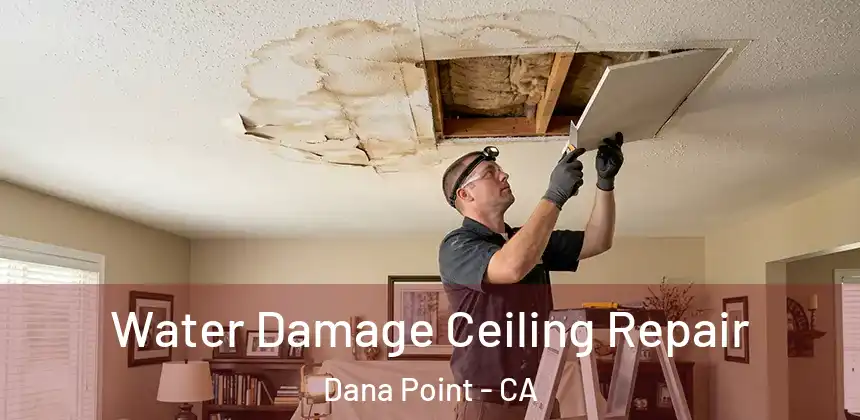  Water Damage Ceiling Repair Dana Point - CA