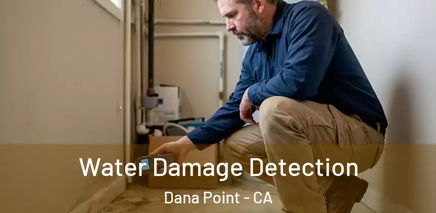  Water Damage Detection Dana Point - CA