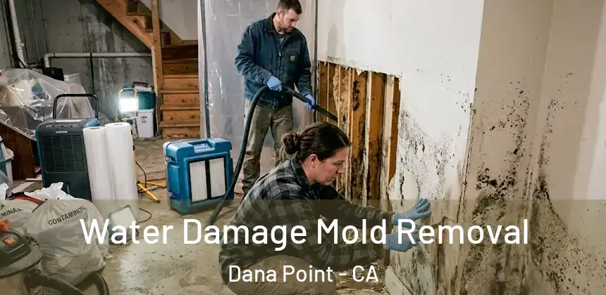 Water Damage Mold Removal Dana Point - CA