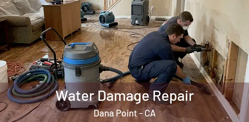 Water Damage Repair Dana Point - CA