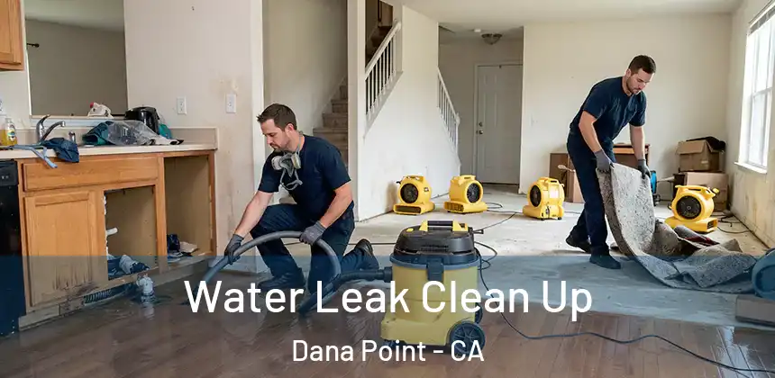 Water Leak Clean Up Dana Point - CA