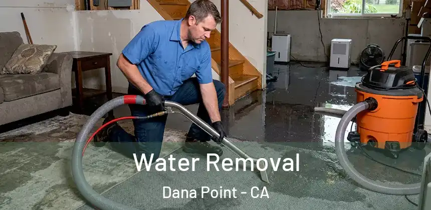  Water Removal Dana Point - CA