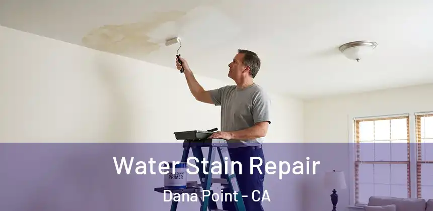  Water Stain Repair Dana Point - CA